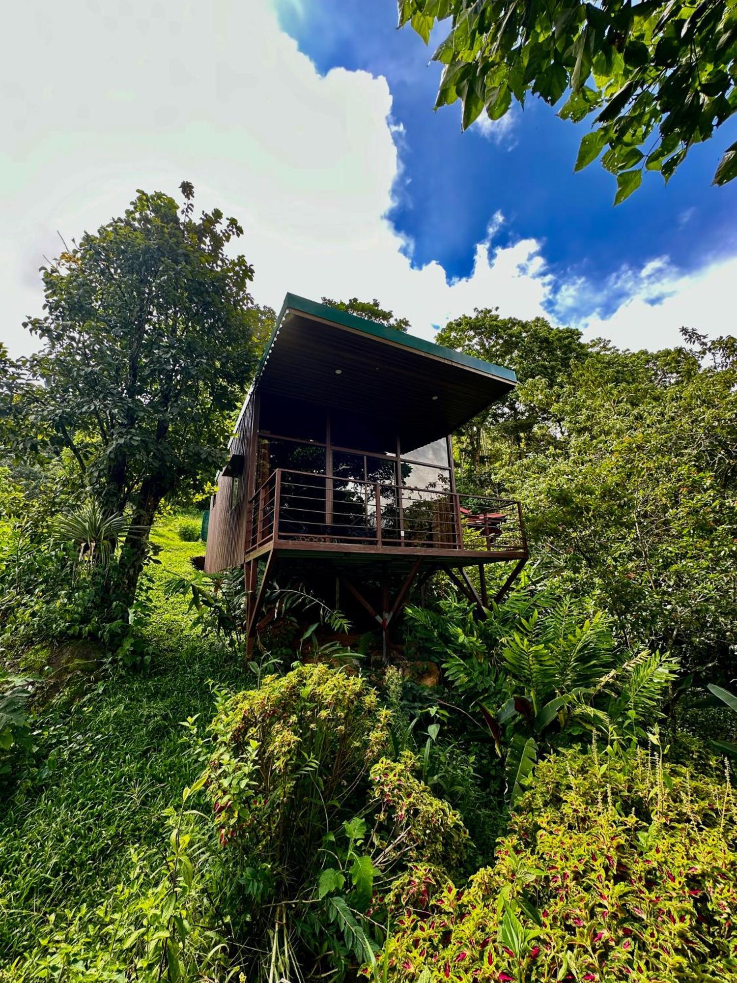 Hotel De Montana El Pelicano San Isidro De El General Εξωτερικό φωτογραφία